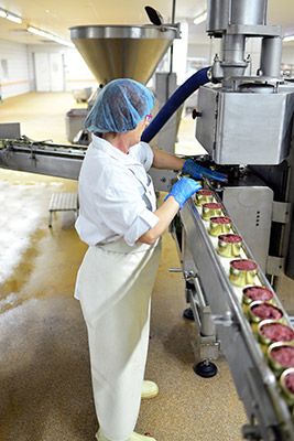 Nettoyage et dsinfection en industrie agroalimentaire : risques sant scurit au travail et environnementaux