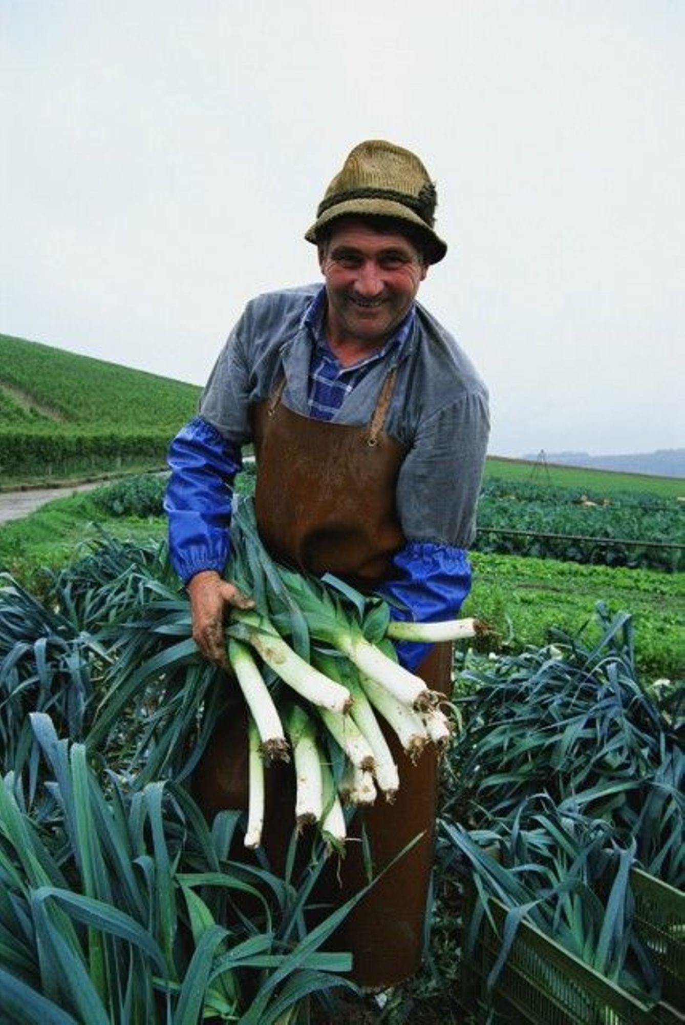 SEIRICH (Système d'Evaluation et d'Information sur les RIsques CHimiques en entreprise)